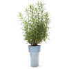 SLIM FLOWER POT | Small plants in tight spaces - Home & Garden - Monkey Business Europe